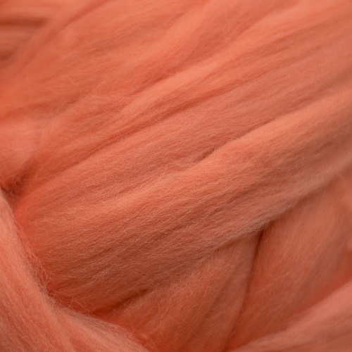 Begonia Merino