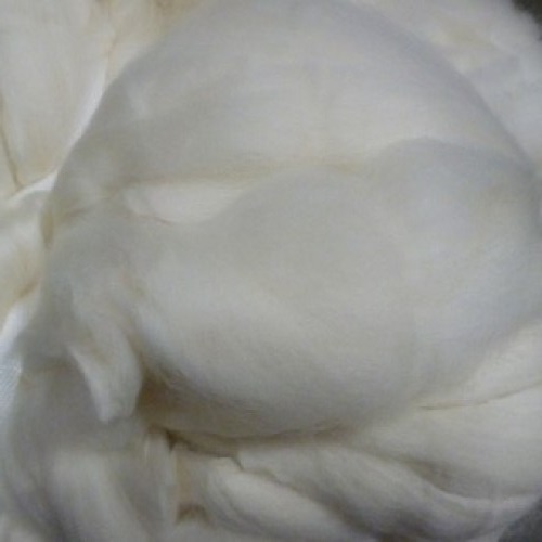 Merino Ecru (19.5 micron)